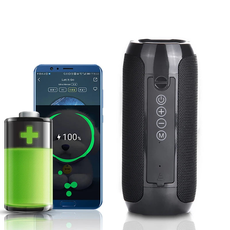 TG117 Outdoor Bluetooth Speaker - 25W output, Bluetooth 4.2, Yes waterproof